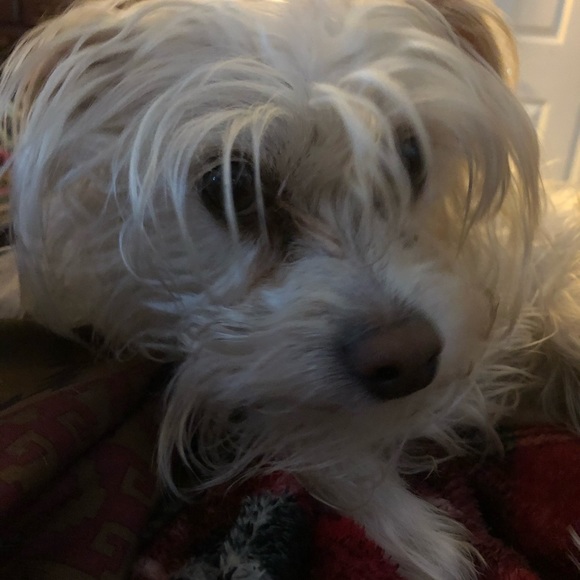 Meet your Posher, Teresa - Picture 8 of 12